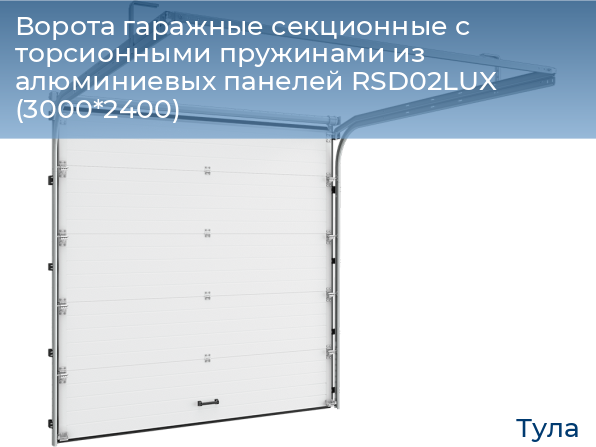 Ворота гаражные секционные с торсионными пружинами из алюминиевых панелей RSD02LUX (3000*2400), tula.doorhan.ru