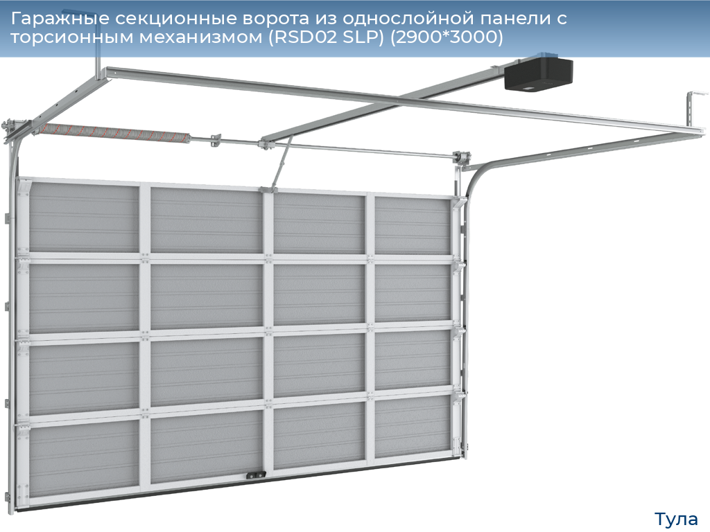 Гаражные секционные ворота из однослойной панели с торсионным механизмом (RSD02 SLP) (2900*3000), tula.doorhan.ru