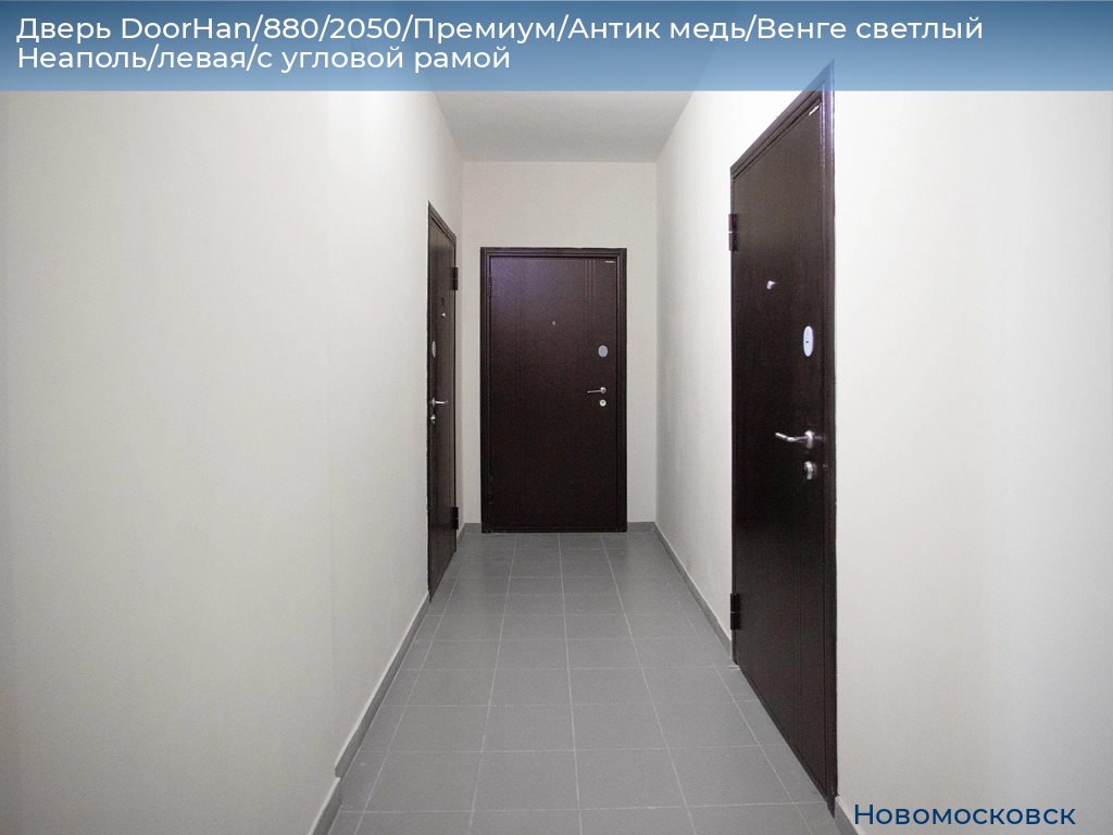 Дверь DoorHan/880/2050/Премиум/Антик медь/Венге светлый Неаполь/левая/с угловой рамой, novomoskovsk.doorhan.ru